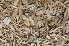 biomass boilers Page Moss